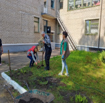 Всероссийская неделя субботников Всероссийская неделя субботников.
